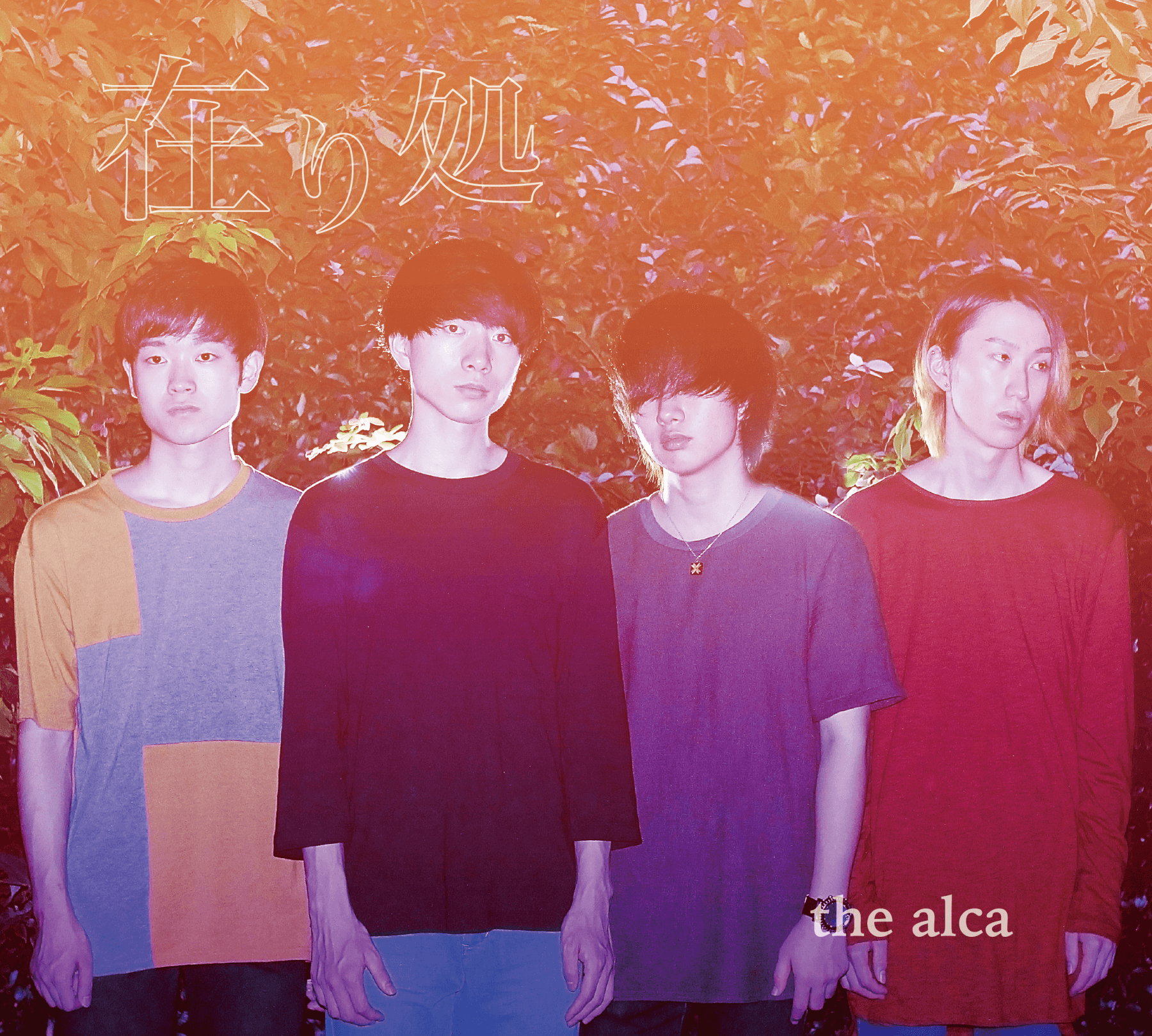 the alca / 在り処