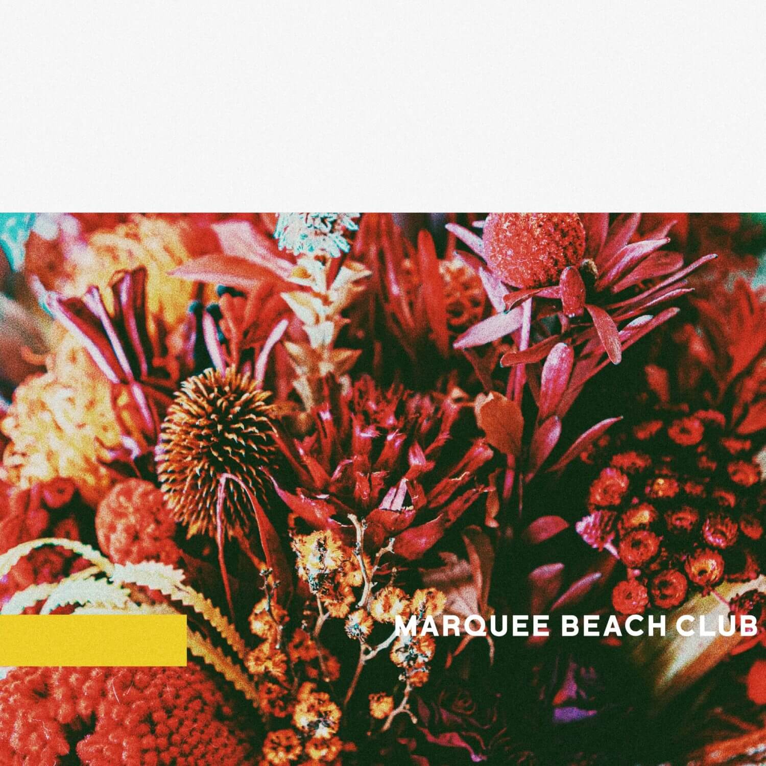 MARQUEE-BEACH-CLUB / feel