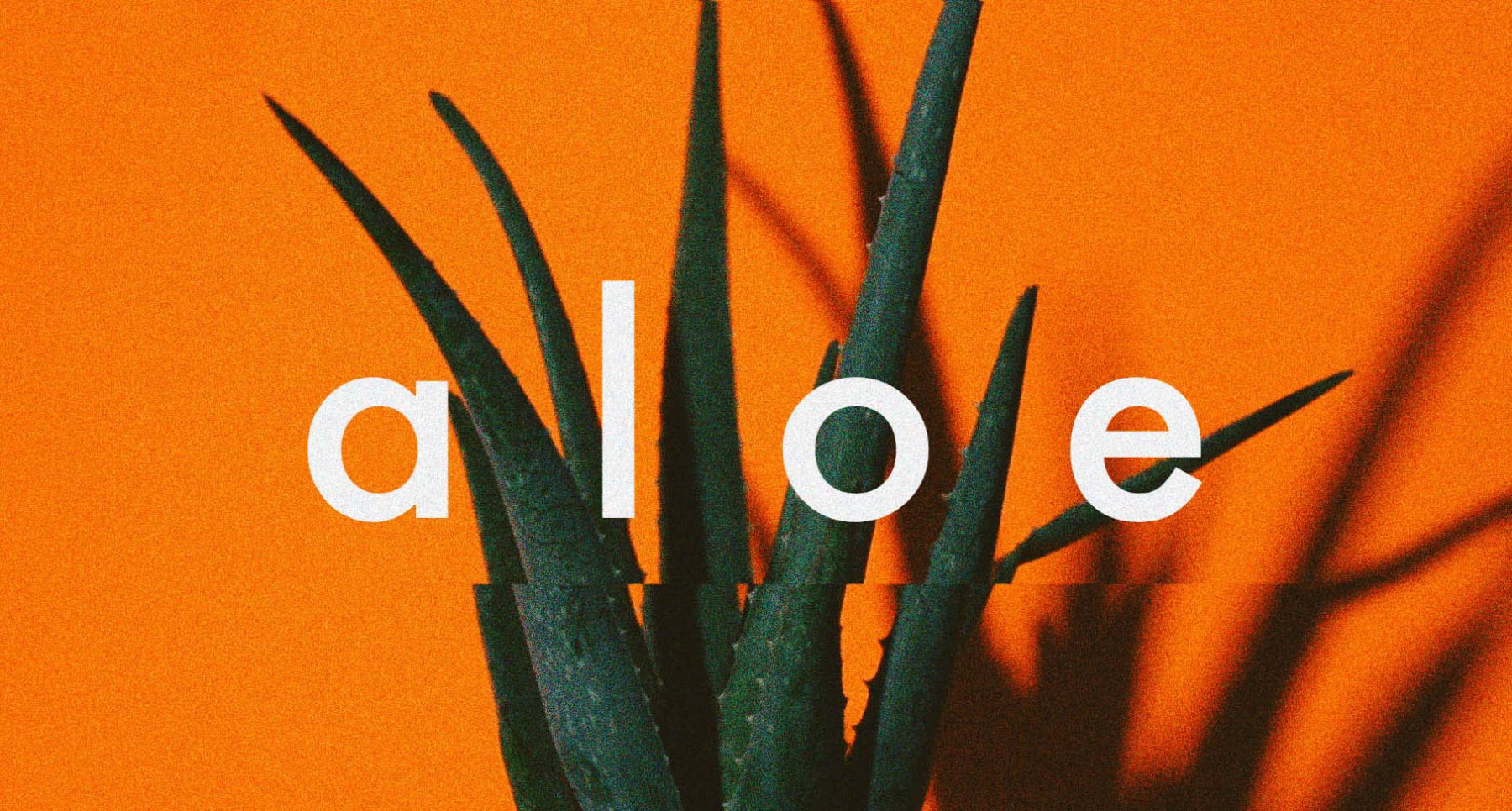 macico / aloe (Official Music Video)
