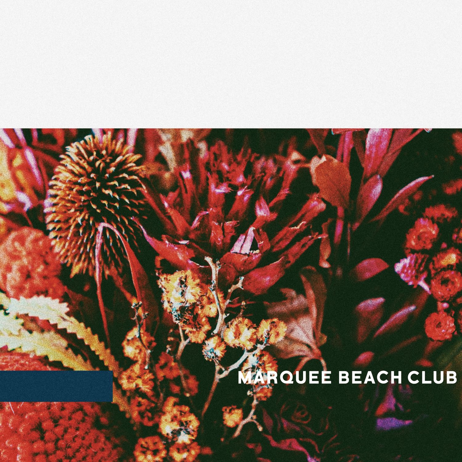 MARQUEE BEACH CLUB / E.P.「follow」